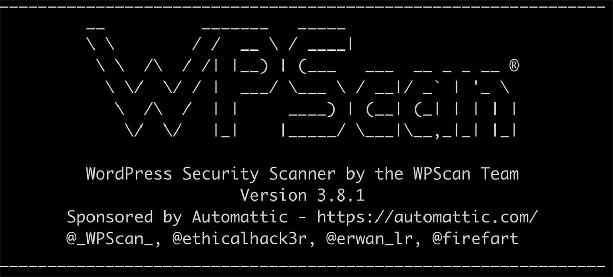 מסך ראשי WPScan